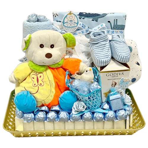 Baby Boy Combo Gift Set
